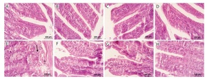 Figure from article: Erratum to the article:...